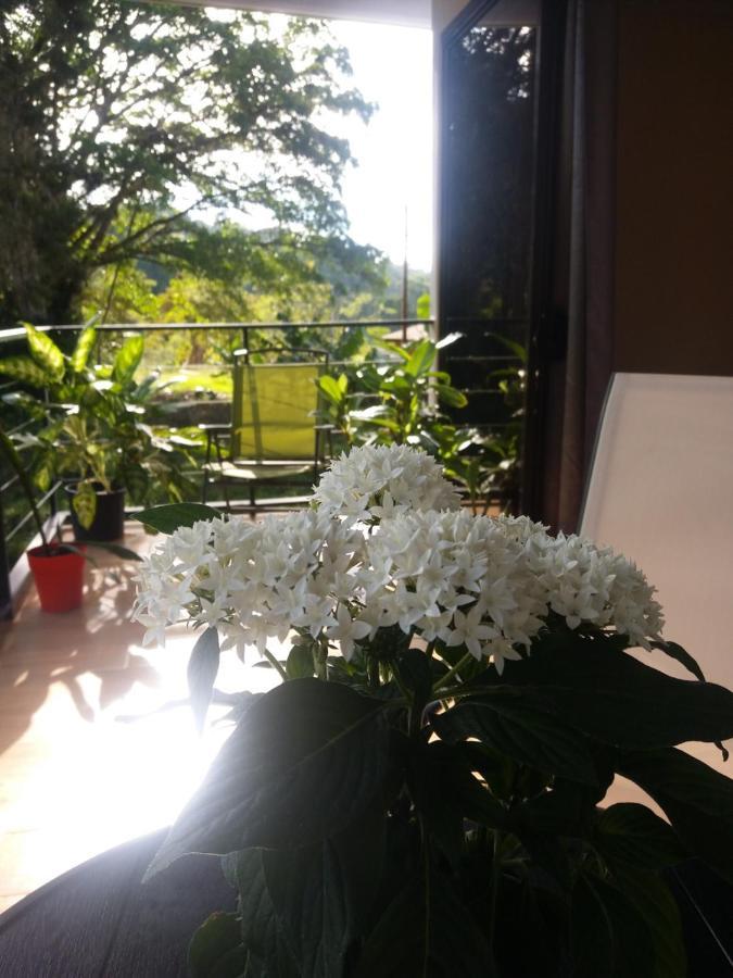 Quinta Los Volcanes Turrialba Exterior photo